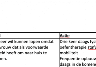 Behandelplan_1_doel Behandelplan_1_doel