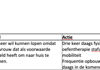 Behandelplan_1_doel